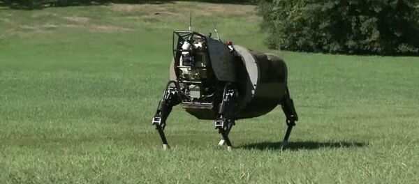 AlphaDog AlphaDog - Sputnik Afrique