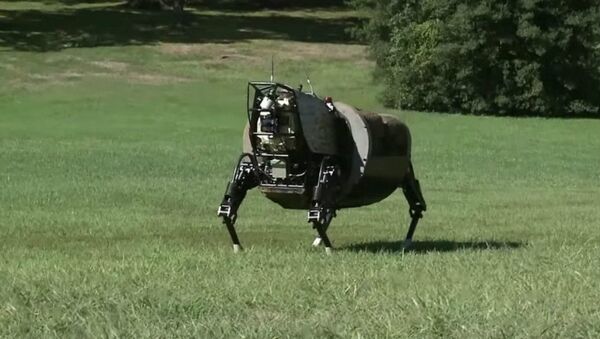 Alpha Dog, un robot de soutien pour les Marines US - Sputnik Afrique
