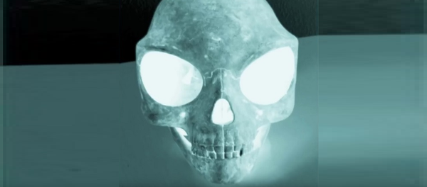 Le crâne mystérieux - Sputnik Afrique