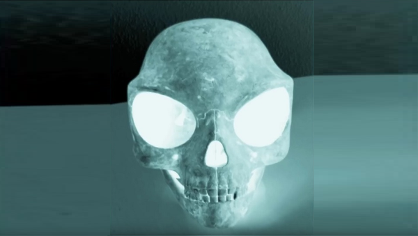 Le crâne mystérieux - Sputnik Afrique