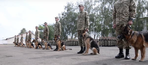 Des chiens ukrainiens prêtent serment - Sputnik Afrique