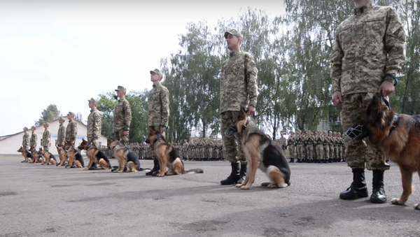 Des chiens ukrainiens prêtent serment - Sputnik Afrique