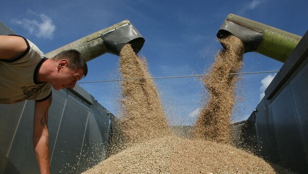 Уборка пшеницы на полях сельхозпредприятия Долгов и компания - Sputnik Afrique