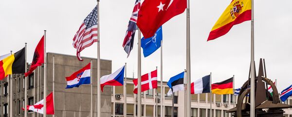 Les drapeaux des pays-membres de l'Otan Les drapeaux des pays-membres de l'Otan - Sputnik Afrique