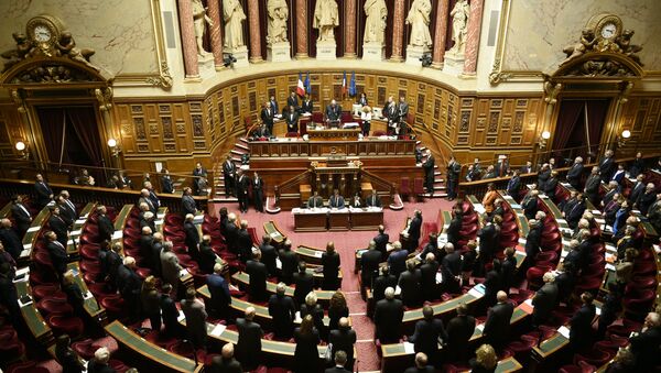 French Senate. (File) - Sputnik Afrique