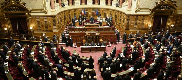 le Sénat français (image d'illustration) - Sputnik Afrique