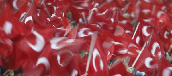 Drapeaux turcs - Sputnik Afrique