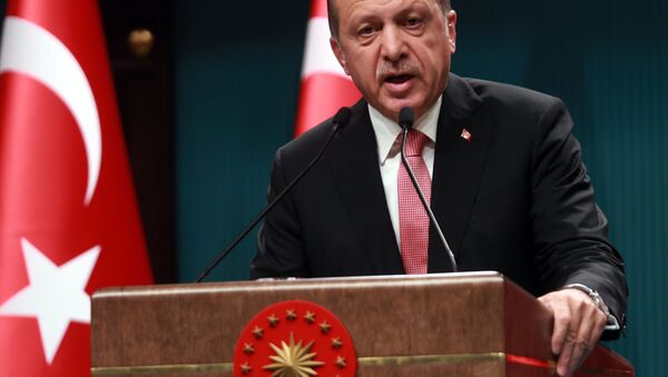 Le président turc Tayyip Erdogan - Sputnik Afrique