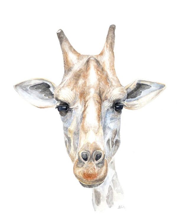 Giraffe - Sputnik Afrique