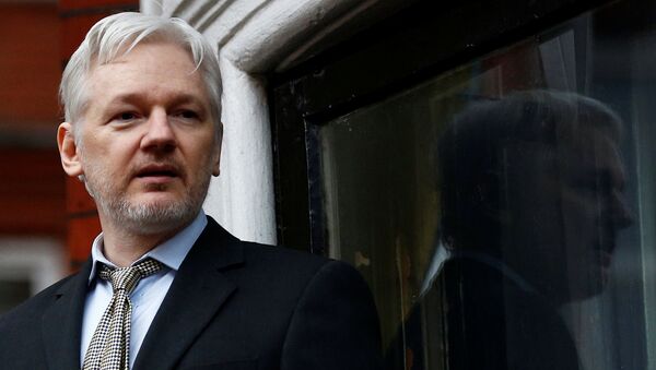 Julian Assange, fundador de WikiLeaks - Sputnik Afrique
