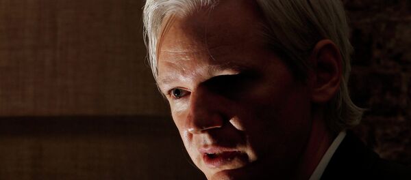 Julian Assange - Sputnik Afrique