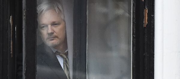 Assange - Sputnik Afrique