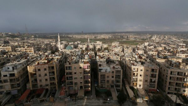 Aleppo city is seen in this general view January 9, 2015. - Sputnik Afrique