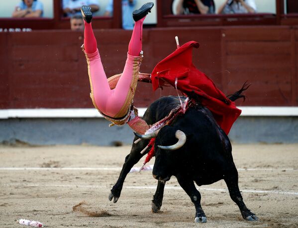 Le matador espagnol Pablo Belando dans l'arène de Las Ventas, à Madride. - Sputnik Afrique
