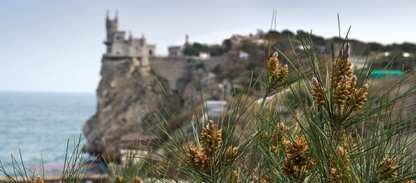 Crimée - Sputnik Afrique