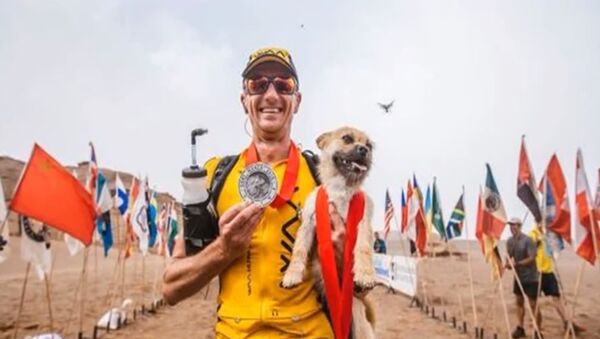 Un chien errant court 100 kilomètres avec un marathonien dans le désert de Gobi - Sputnik Afrique