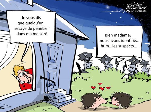L’amour de ces hérissons me pourrit la vie! L’amour de ces hérissons me pourrit la vie! - Sputnik Afrique