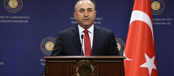 Mevlut Cavusoglu - Sputnik Afrique