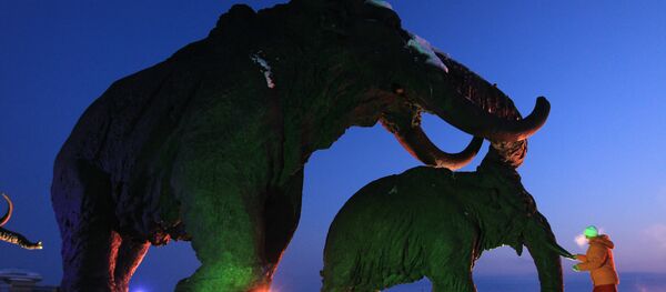 des mammouths - Sputnik Afrique