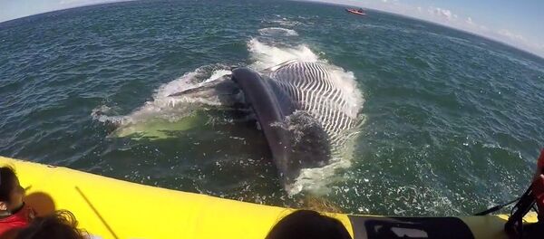 Grosse frayeur à bord d'un Zodiac - Sputnik Afrique