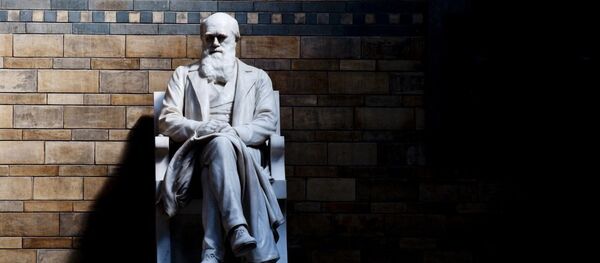 Charles Darwin - Sputnik Afrique