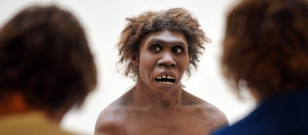 L’homme de Néandertal aurait disparu à cause de la fumée L’homme de Néandertal aurait disparu à cause de la fumée - Sputnik Afrique