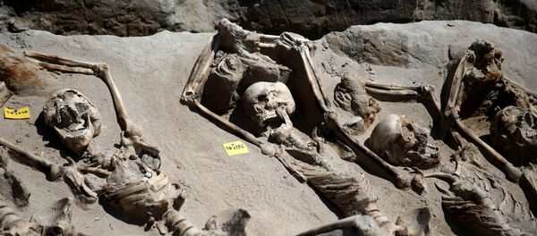 Skeletal remains, with iron shackles on their wrists, are laid in a row at the ancient Falyron Delta cemetery in Athens, Greece, July 27, 2016. - Sputnik Afrique