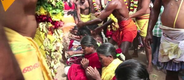 Ce coup de noix de coco qui vous portera bonheur - Sputnik Afrique