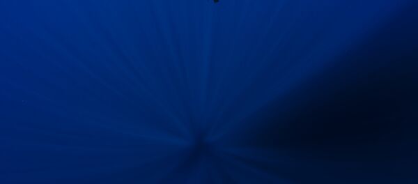 В каком океане находится Марианская впадина? - Sputnik Afrique