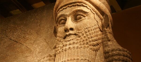 Shedu - Sputnik Afrique