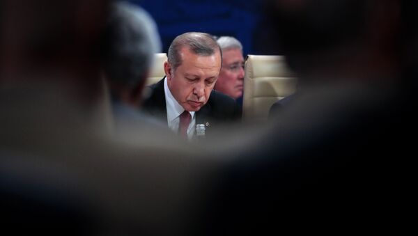 TLe président turc Recep Tayyip Erdogan - Sputnik Afrique
