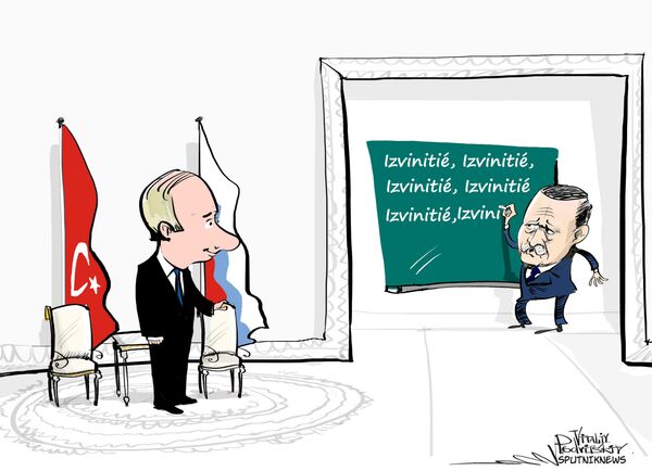 Izvinitié: comment Erdogan a présenté ses excuses à Poutine en russe - Sputnik Afrique