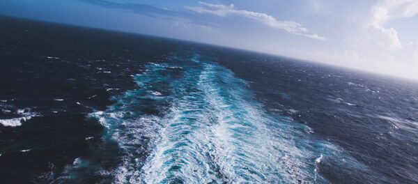 Océan - Sputnik Afrique