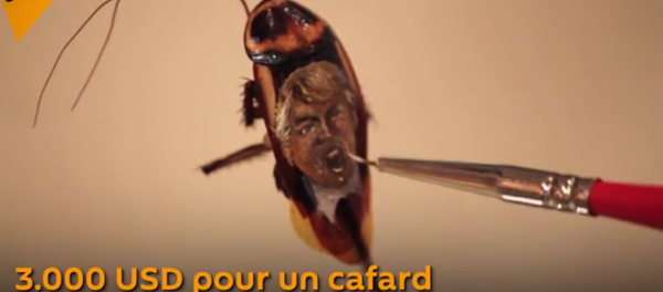 Donald Trump sur le dos d'un... cafard - Sputnik Afrique