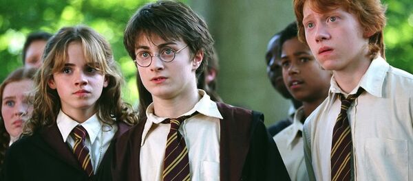 Harry Potter - Sputnik Afrique