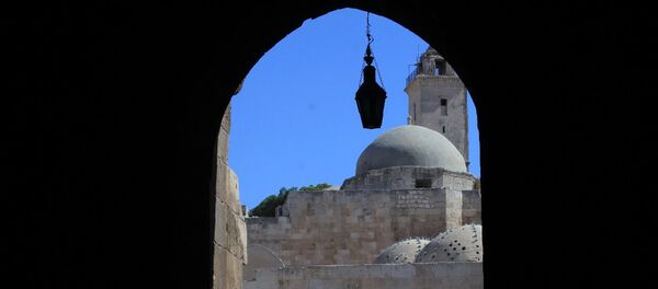 Alep - Sputnik Afrique