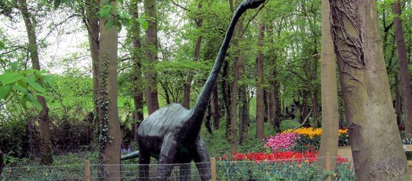 Diplodocus - Sputnik Afrique