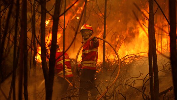 Portugal: crash d'un avion des pompiers lors d'une opération de lutte contre les incendies - Sputnik Afrique