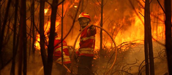 Le Portugal est en feu: l’aviation russe appelée à la rescousse - Sputnik Afrique