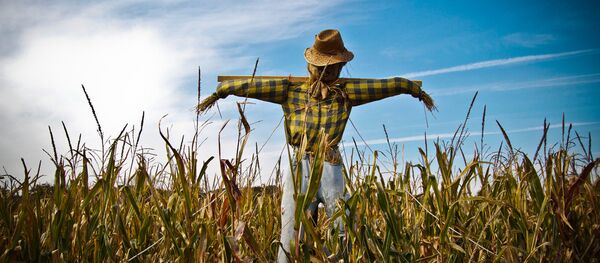 épouvantail - Sputnik Afrique