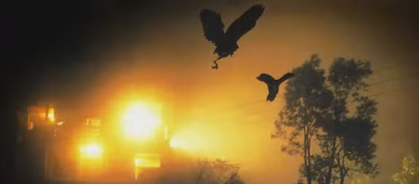 Pont des suicides, montagnes hantées: ces destinations touristiques font froid dans le dos - Sputnik Afrique