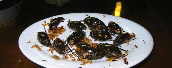 Plat - Sputnik Afrique