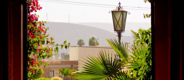 Vue par la fenêtre - Sputnik Afrique