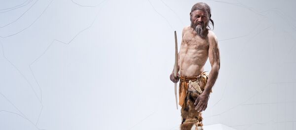 Ötzi, l'homme des glaces âgé de 5.300 ans - Sputnik Afrique