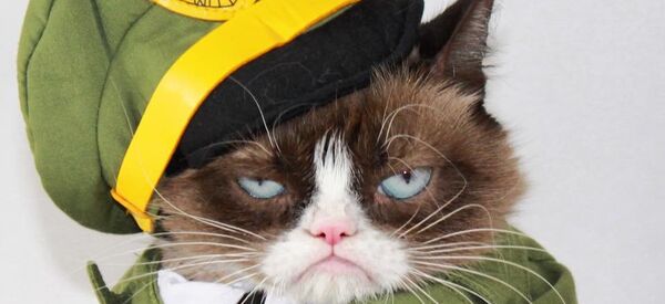 Grympycat - Sputnik Afrique