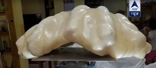 la plus grosse perle au monde - Sputnik Afrique