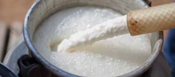 Lait - Sputnik Afrique