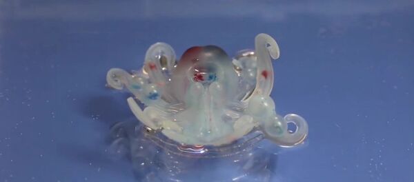 Des chercheurs créent un robot entièrement mou! - Sputnik Afrique