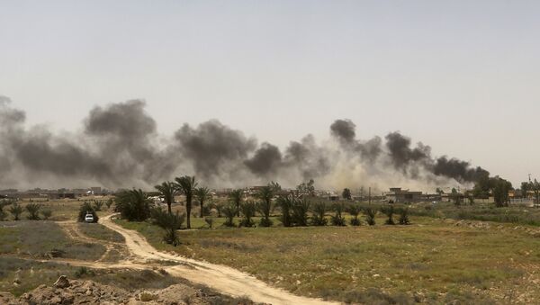 Nuage de fumée élève des positions de Daech près de Falloujah, en Irak - Sputnik Afrique