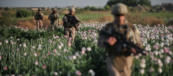 Encore plus d’opium «taliban» en Afghanistan Encore plus d’opium «taliban» en Afghanistan - Sputnik Afrique